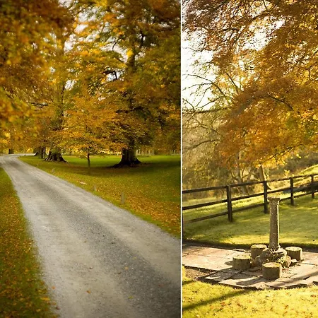 فندق Ballyduff House