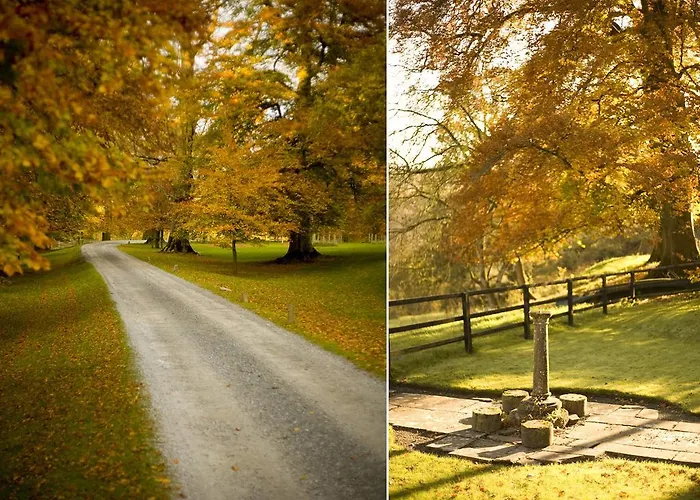 Отель Ballyduff House
